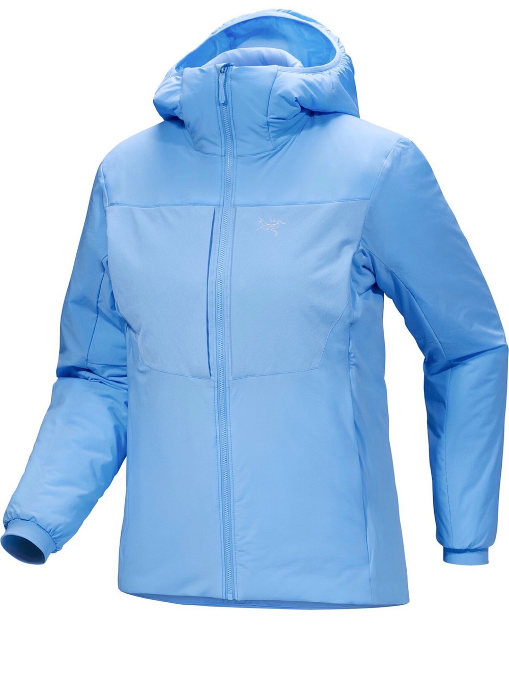 Arc’teryx Proton Heavyweight Hoody